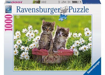 RBURG - PICNIC IN THE MEADOW PUZZLE 1000PC