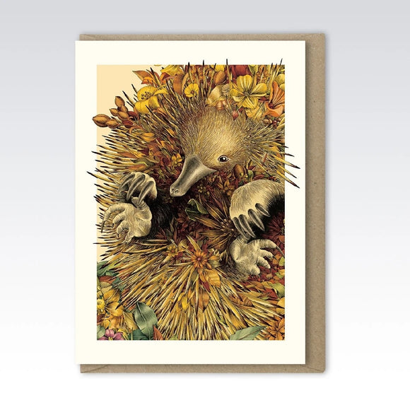 GREETING CARDS - ECHIDNA NELLY