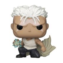 FULLMETAL ALCHEMIST: BH - SCAR POP!