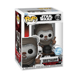 STAR WARS RETURN OF THE JEDI 40TH ANNIVERSARY - EWOK WITH HELMETS US EXCLUSIVE POP! VINYL