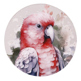 NATIVE BLOOMS GALAH CERAMIC COASTER