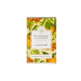 WL CANDLE - PERSIMMON
