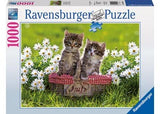 RBURG - PICNIC IN THE MEADOW PUZZLE 1000PC